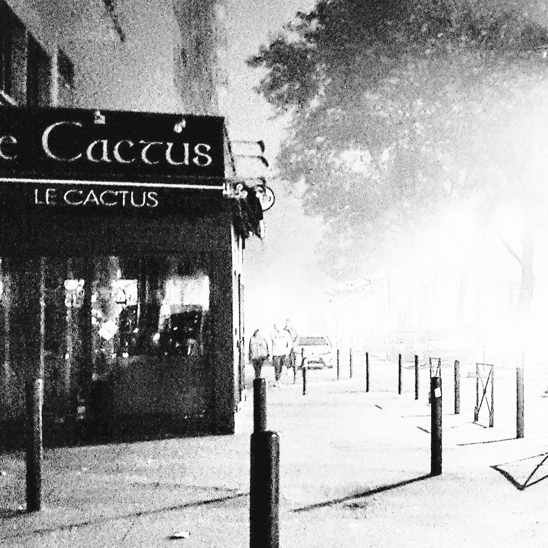 Le Cactus