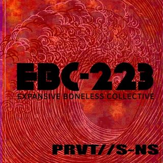 PRVT//S-NS /// EBC-223