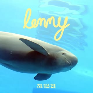 Lenny Marsouin