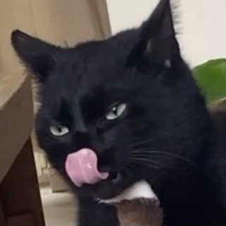 PEET