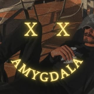 Amygdala