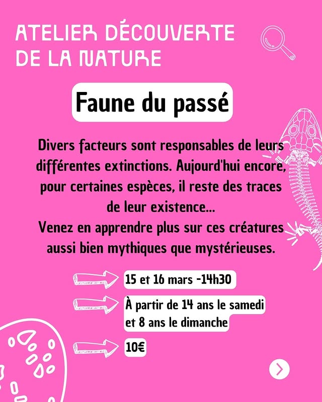 Faune du passé