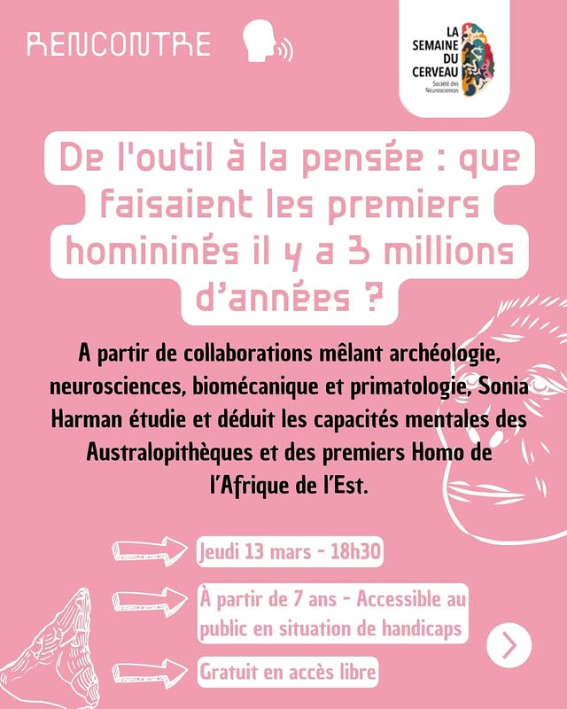 De l'outil à la pensée : que faisaient les premiers homininés il y a 3 millions d'années ?