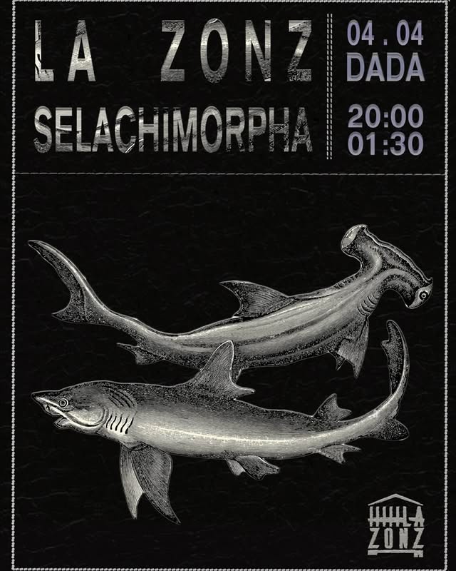 SELACHIMORPHA