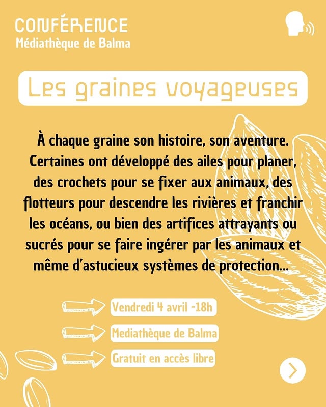 Conférence : Les graines voyageuses