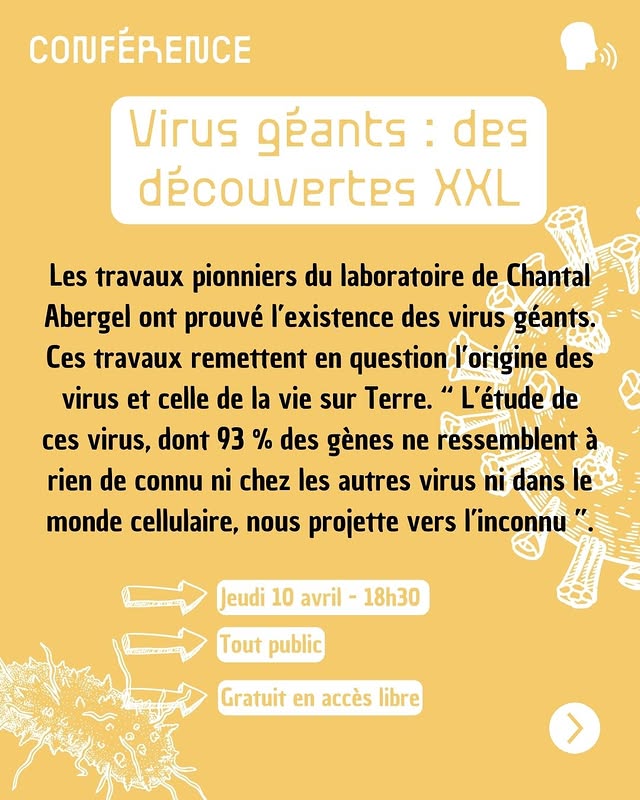 Conférence : Virus géants : des découvertes XXL