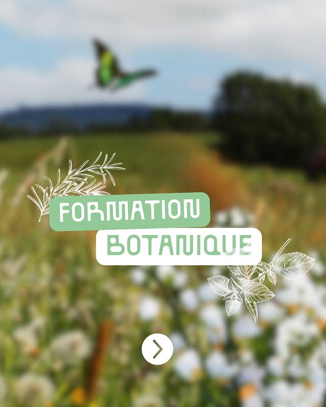 Formation Botanique