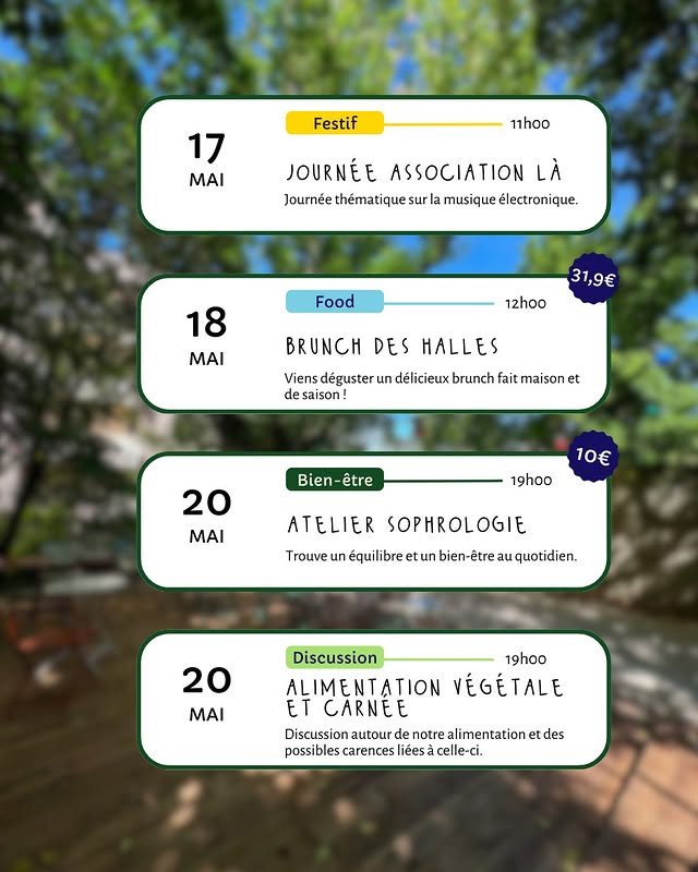 Alimentation végétale et carnée