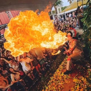 Dino Fire