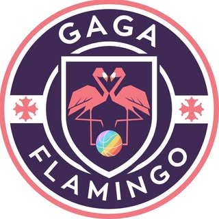 Gaga Flamingo Basket