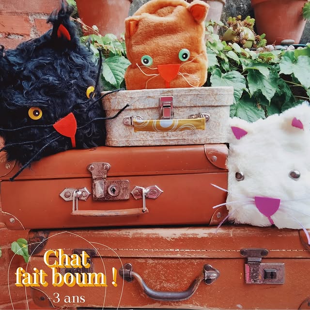 Chat fait boum !