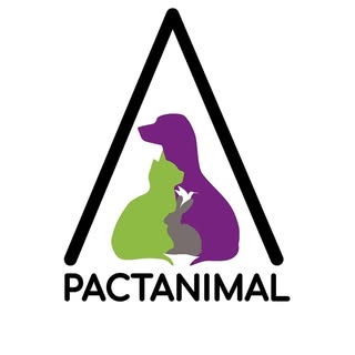 Pactanimal