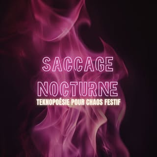 Saccage Nocturne