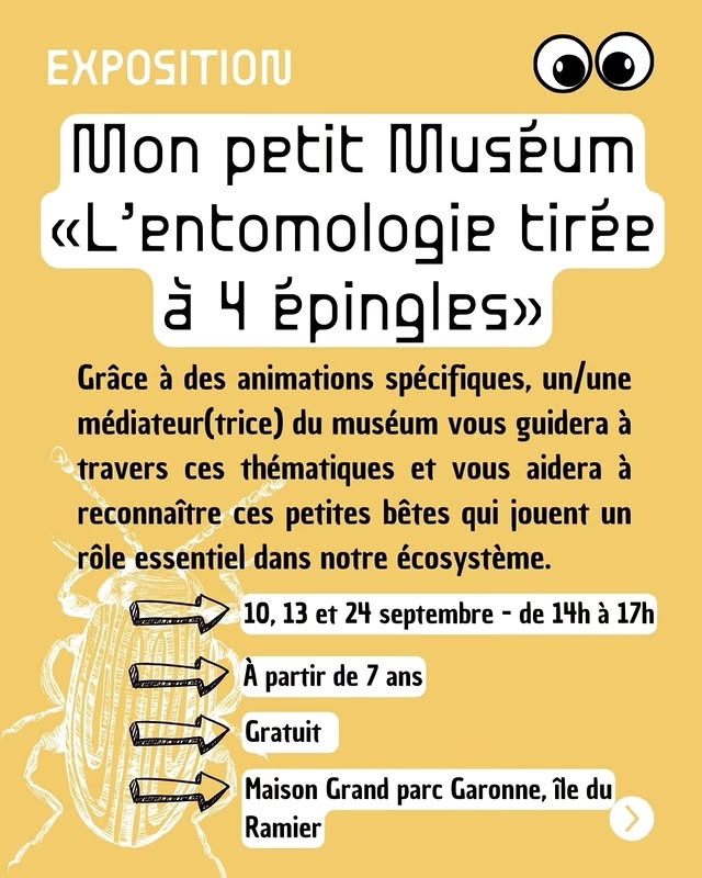 Exposition : Mon petit Muséum « L’entomologie tirée à 4 épingles »