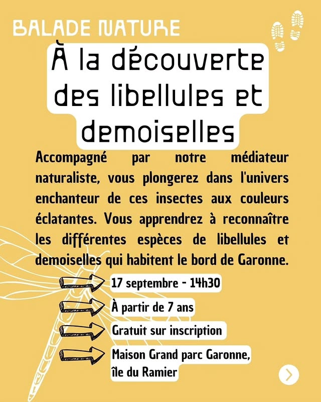 Balade nature : À la découverte des libellules et demoiselles