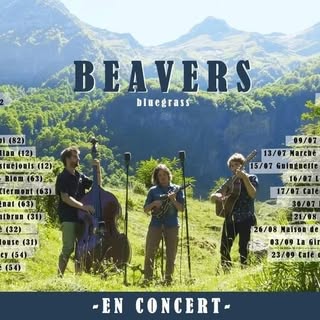 Beavers