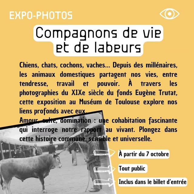 Compagnons de vie et de labeurs (expo-photos)
