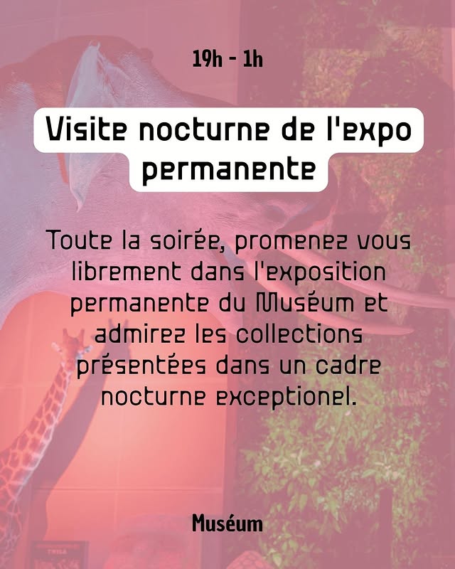 Visite nocturne de l'expo permanente