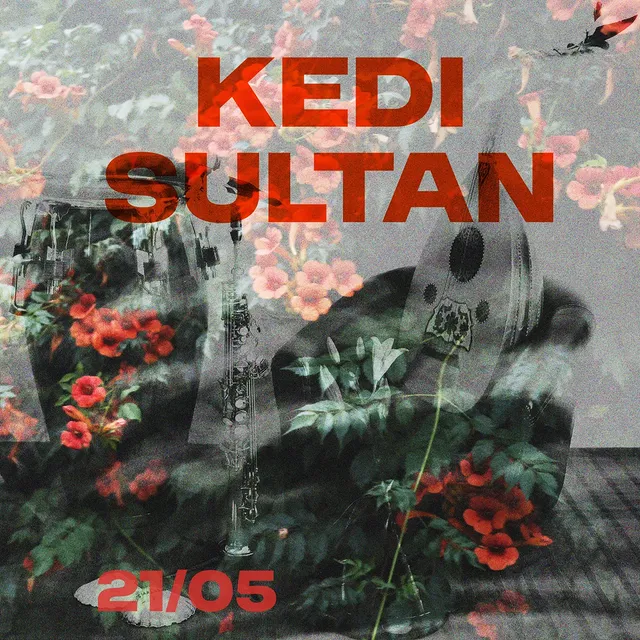 Kedi Sultan