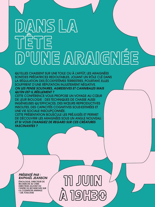 Conférence & débat («Dans la tête des araignées»)