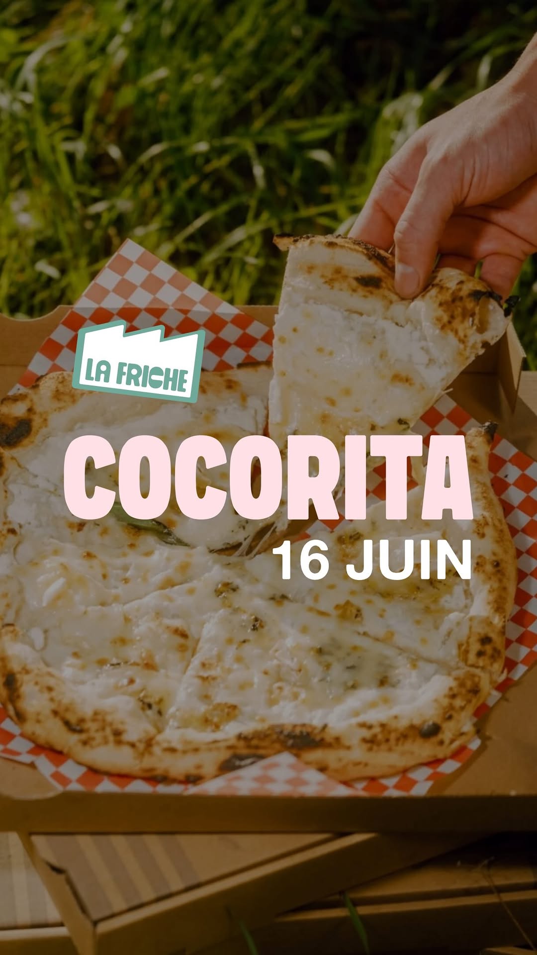 Cocorita à la Friche de Montaudran