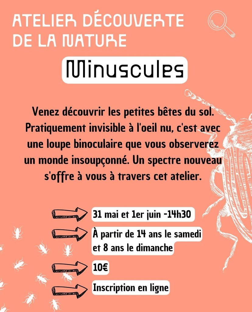 Minuscules