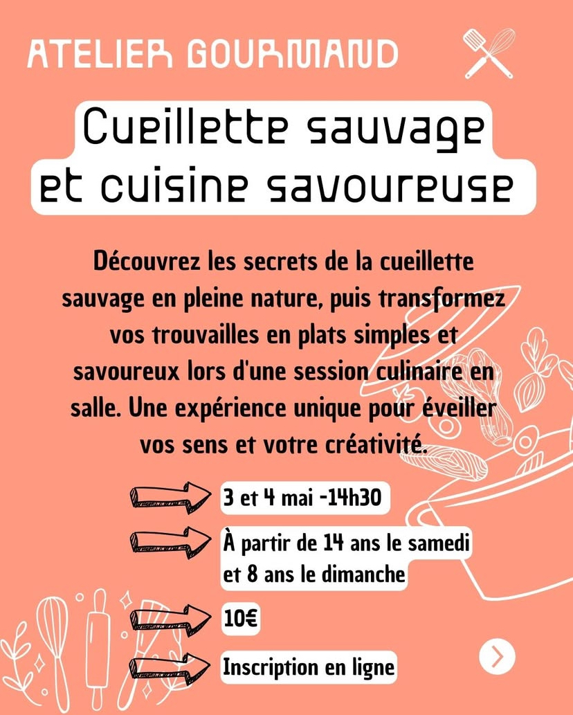 Cueillette Sauvage et Cuisine Savoureuse