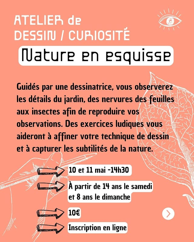 Atelier de dessin / curiosité - Nature en esquisse